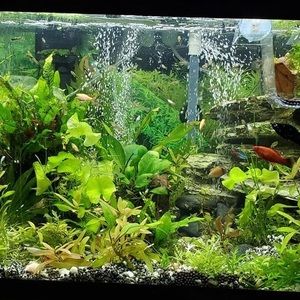 Meet your Posher, Rockelle